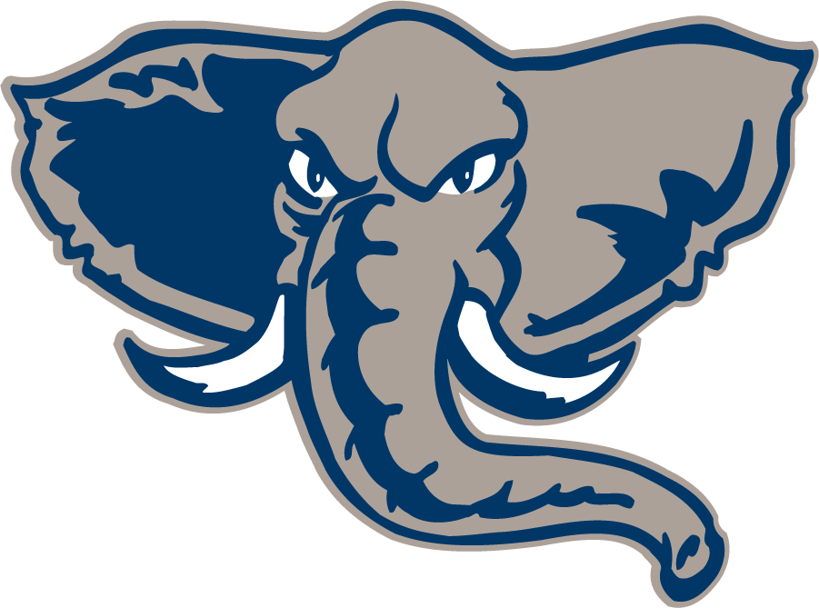 Cal State Fullerton Titans 1999-2002 Secondary Logo diy iron on heat transfer